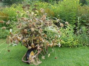 the fine art of cutting back