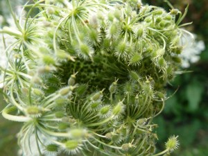 my 2013 almost top annual