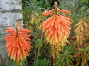 september     2013 055