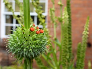 september     2013 065