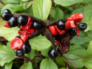 september     2013 081