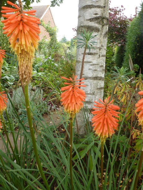 september     2013 053