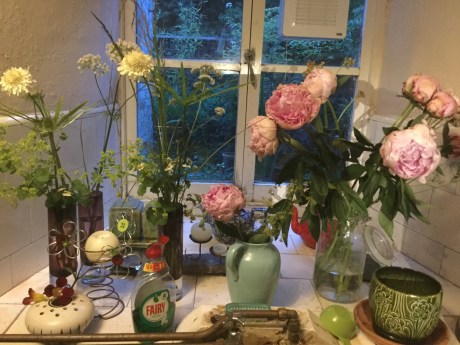 76BFF290-3B33-41A6-84BD-0F4A4AB6B95B